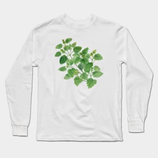 February 11th birthday flower Long Sleeve T-Shirt